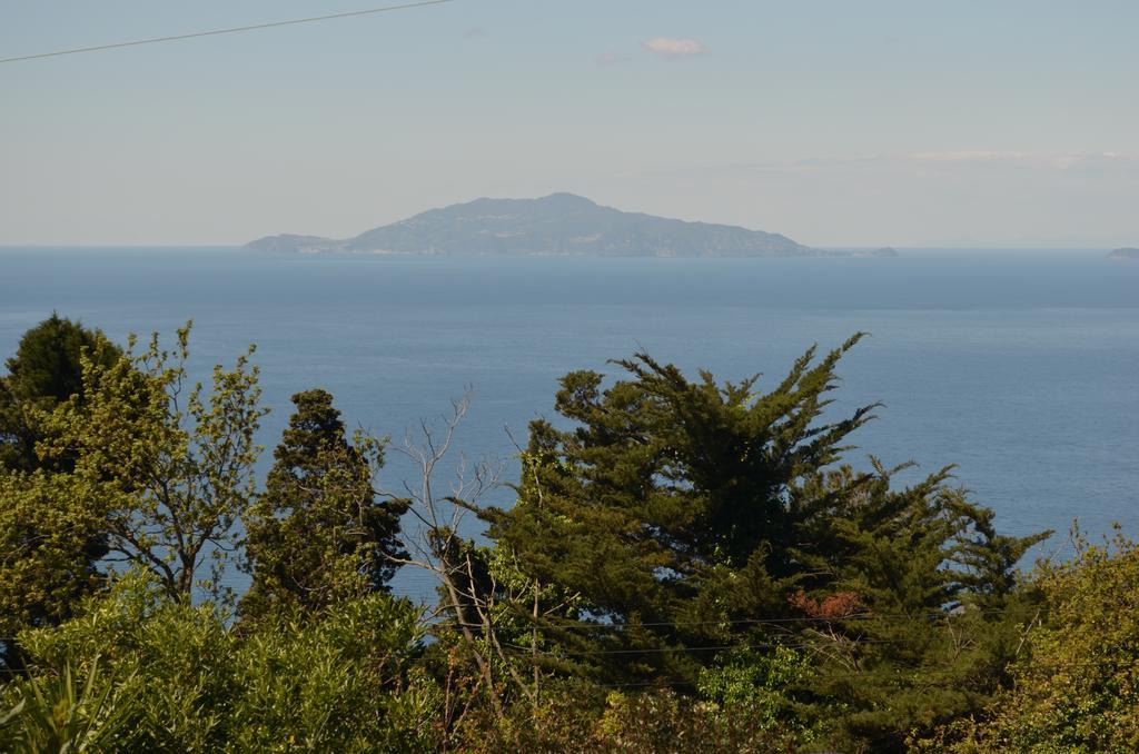 Le Ginestre Di Capri Bb & Holiday House Anacapri  Luaran gambar